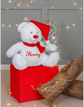 Load image into Gallery viewer, Personalised zippy soft Christmas Bear, presented in red gift box with ribbon.