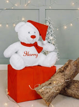 Load and play video in Gallery viewer, Personalised zippy soft Christmas Bear, presented in red gift box with ribbon.
